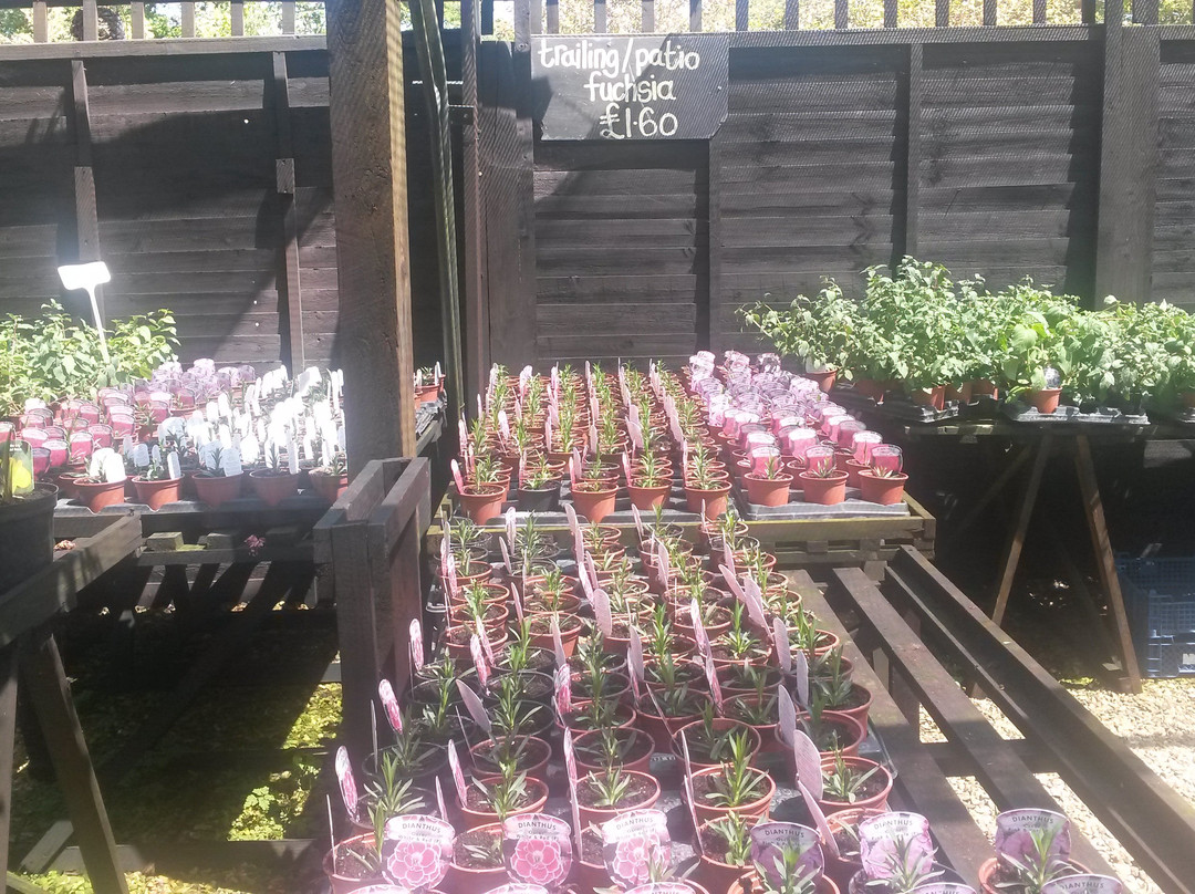 Ager Farm Nursery-Newchurch必去景点