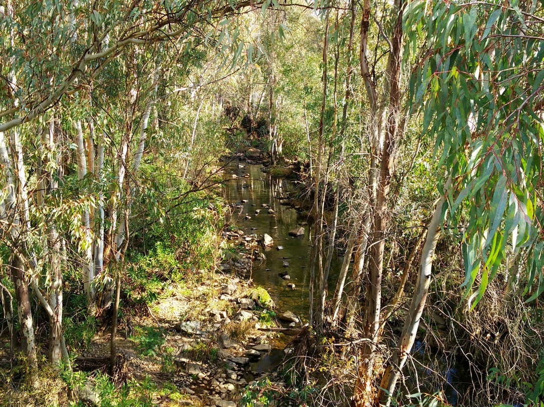 Embalse de Cabezas Rubias-韦尔瓦必去景点