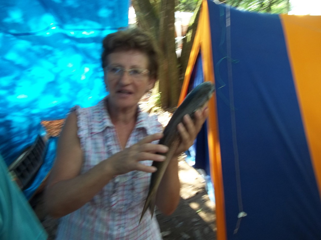 Camping Municipal-Taquari必去景点