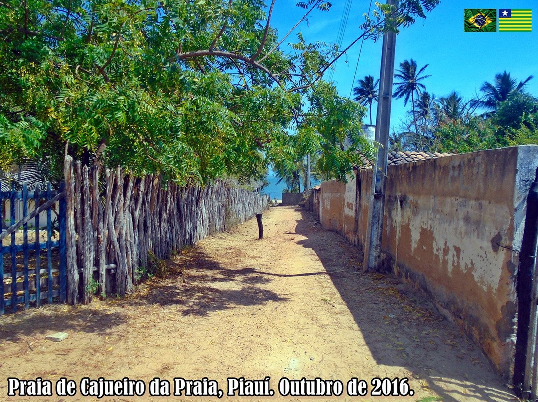 Cajueiro Da Praia Beach景点图片