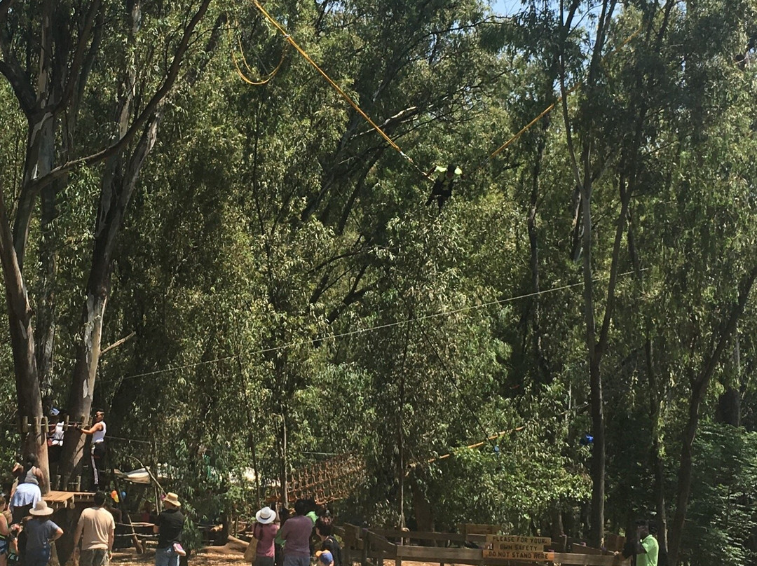 Irene Market-比勒陀利亚必去景点