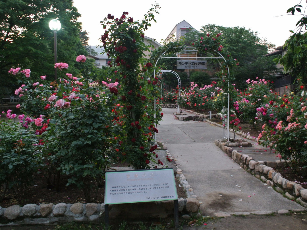 Iwagedaira Park-芦屋市必去景点