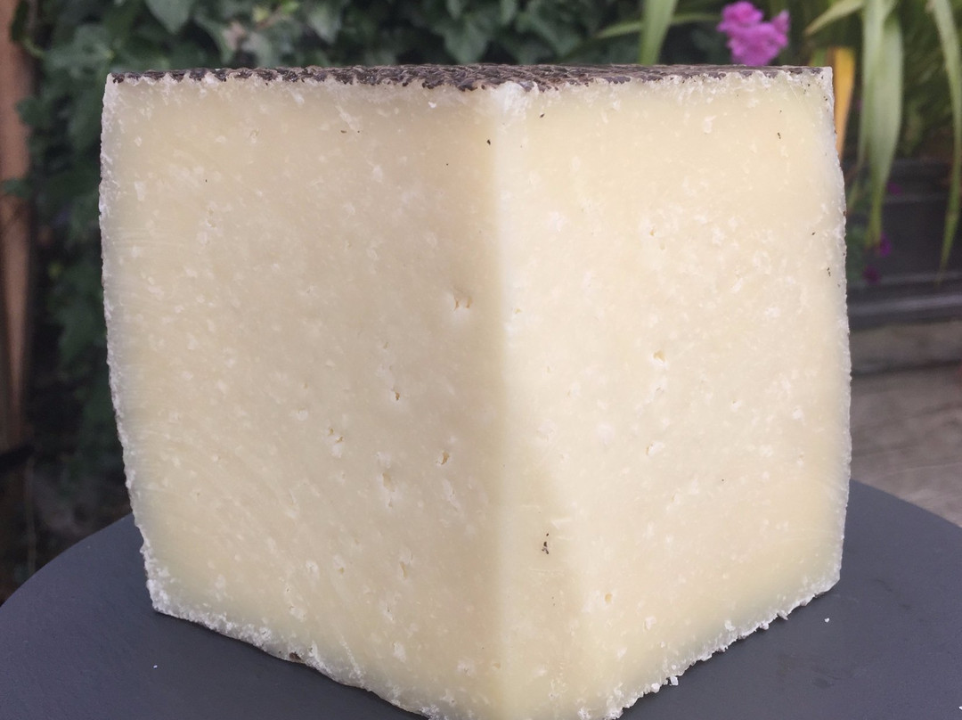 The Cheese Room Deli景点图片