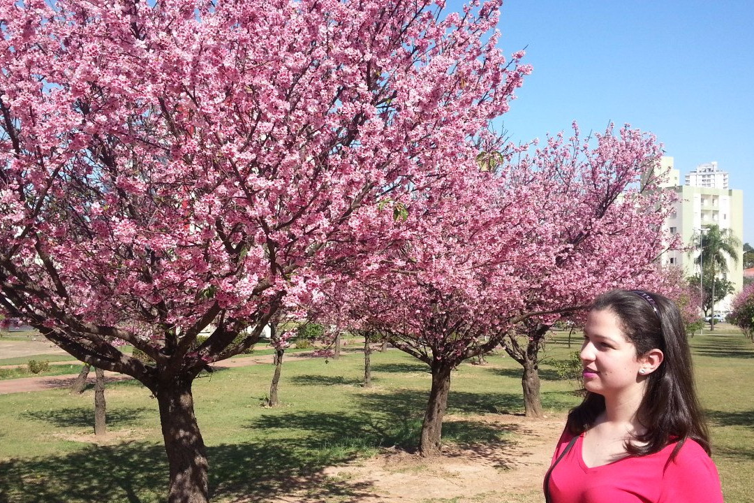 Praça Roque Torce Filho-因达亚图巴必去景点