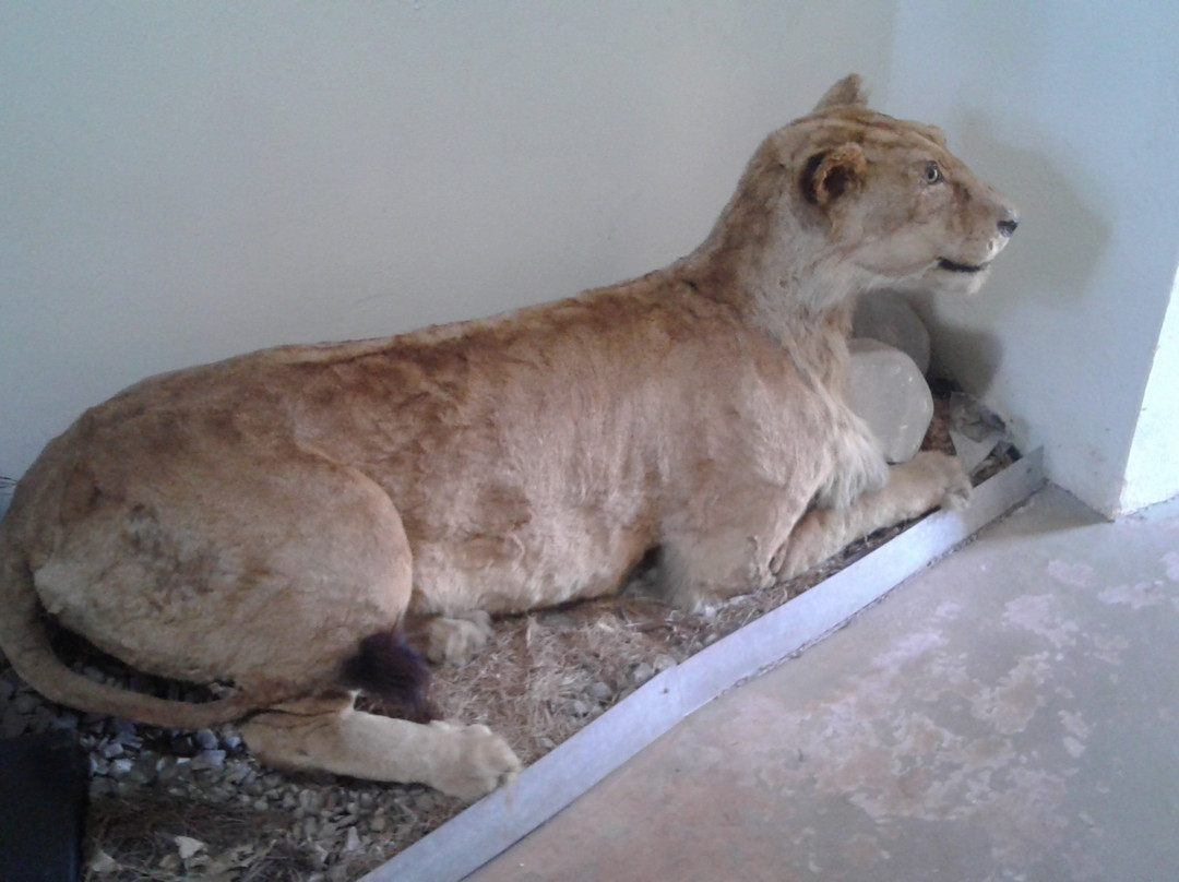 Museu de Historia Natural de Cravinhos-Cravinhos必去景点