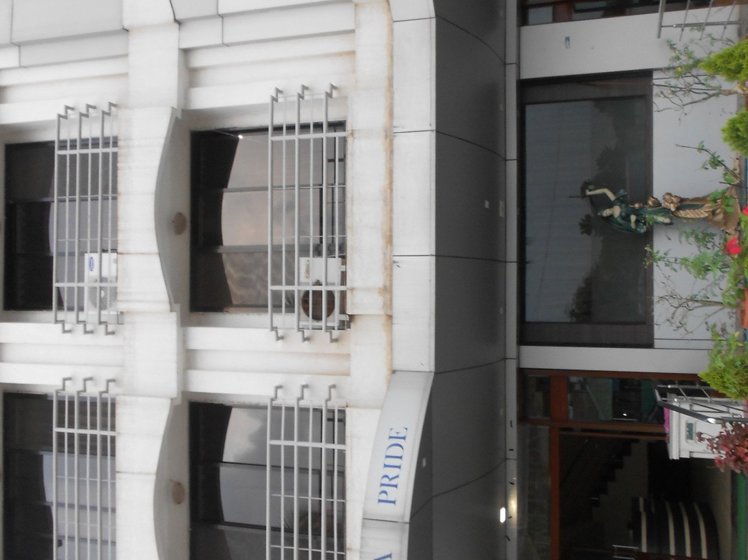 Hotel Roha Pride主图