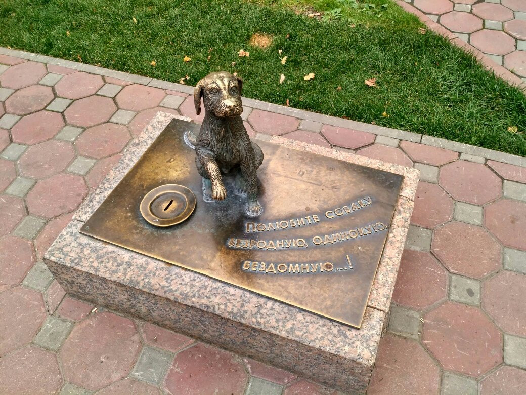 Monument to Homeless Dog景点图片