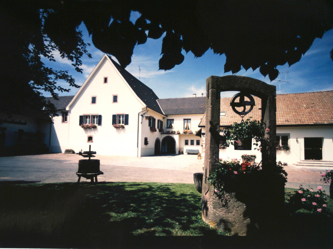 Domaine Marie et Cécile Albrecht - Bleger景点图片