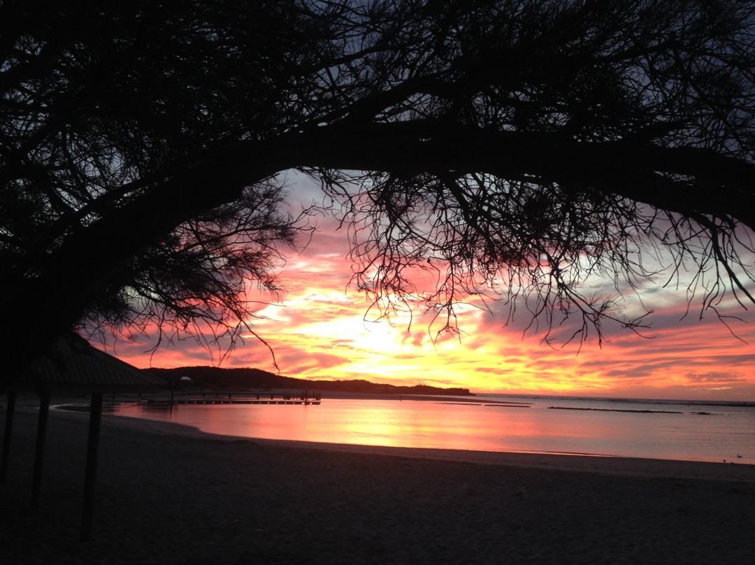 卡尔巴里酒店住宿-鹦鹉螺度假村