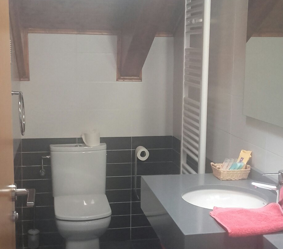 Apartahotel Castejon De Sos主图