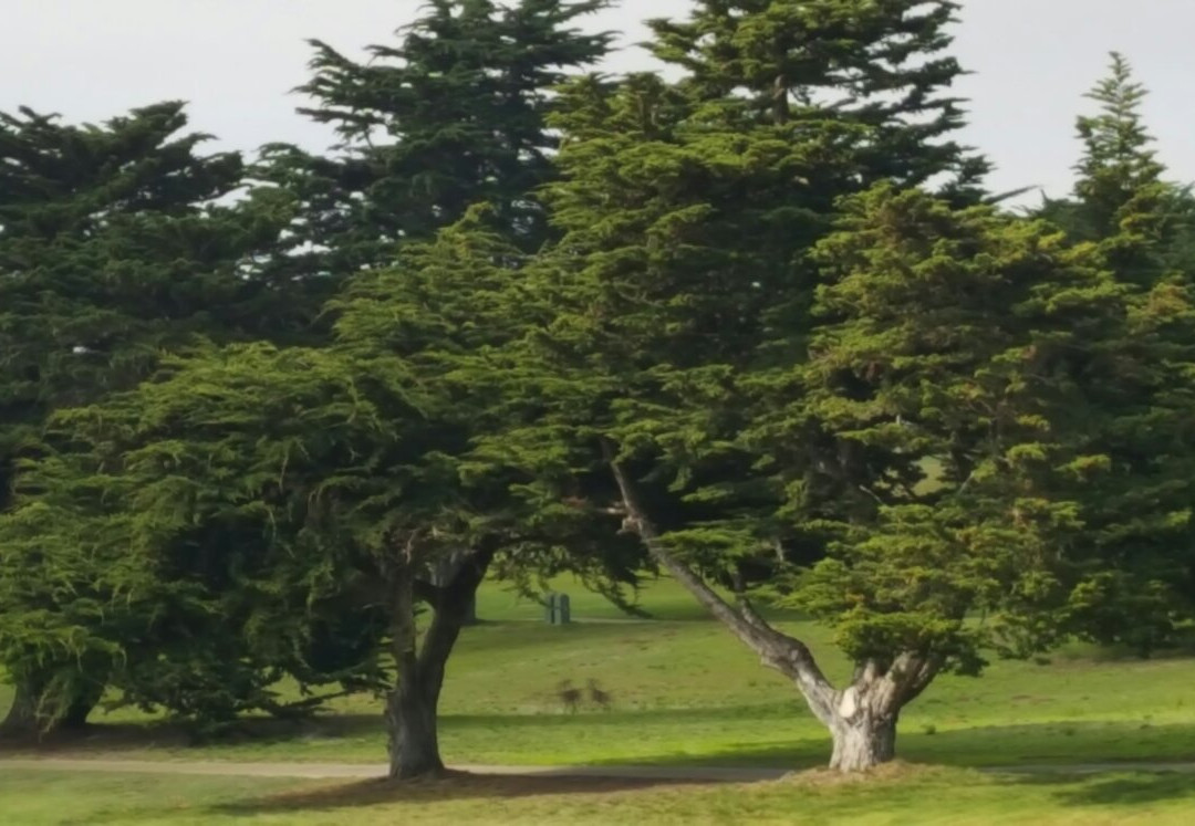 Bayonet Black Horse Golf Course-锡赛德必去景点