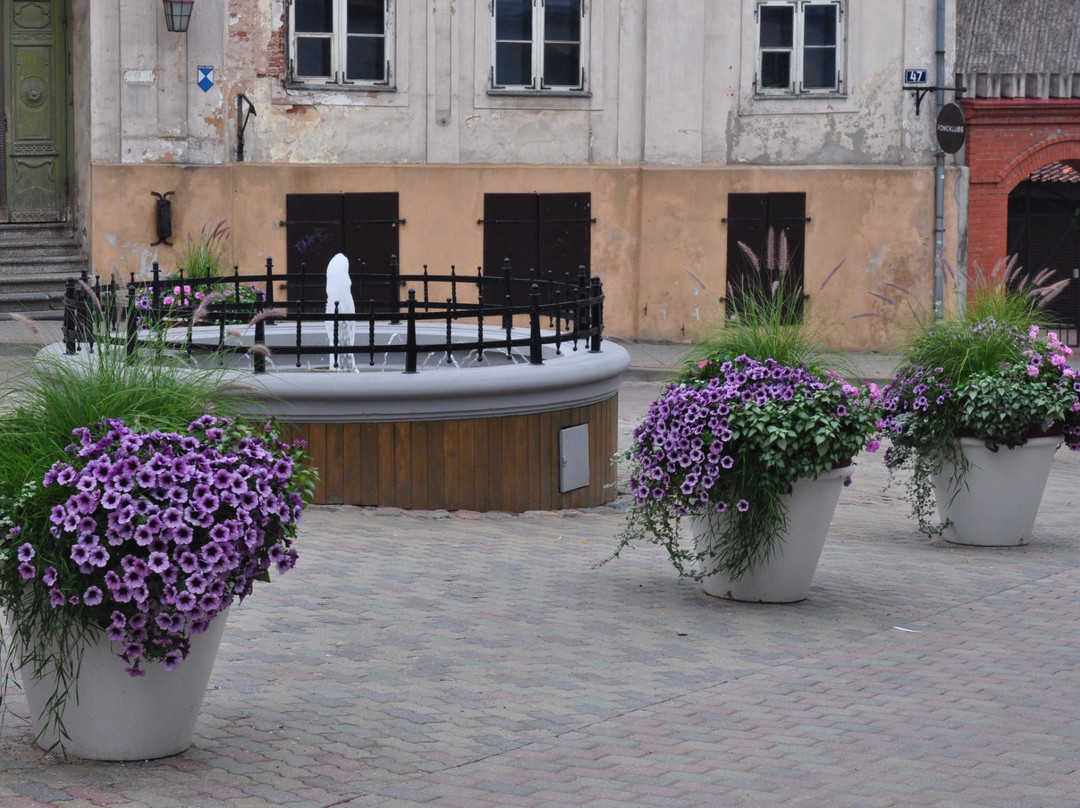Rožu Square-Cesis必去景点