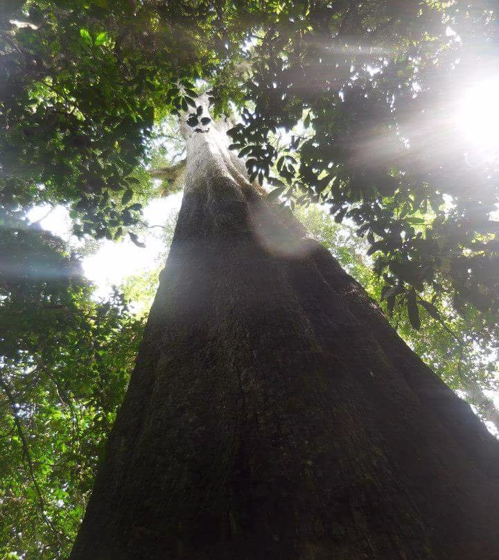 Akim Oda旅游攻略图片