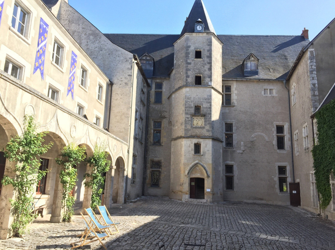 Château de Beaugency景点图片