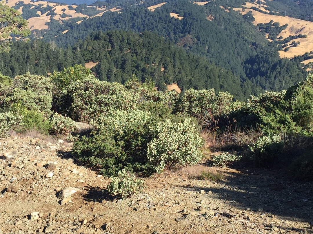 Hood Mountain Regional Park-圣罗莎必去景点