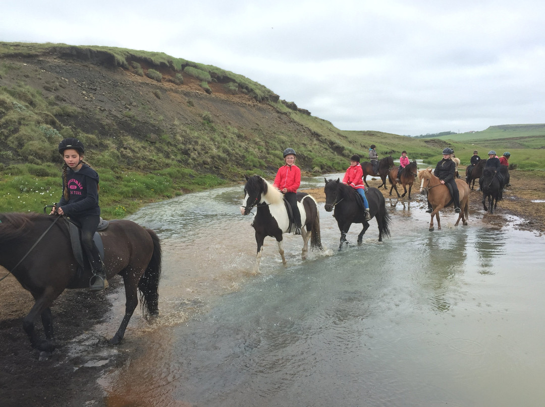Hestheimar Riding Tours-海拉必去景点