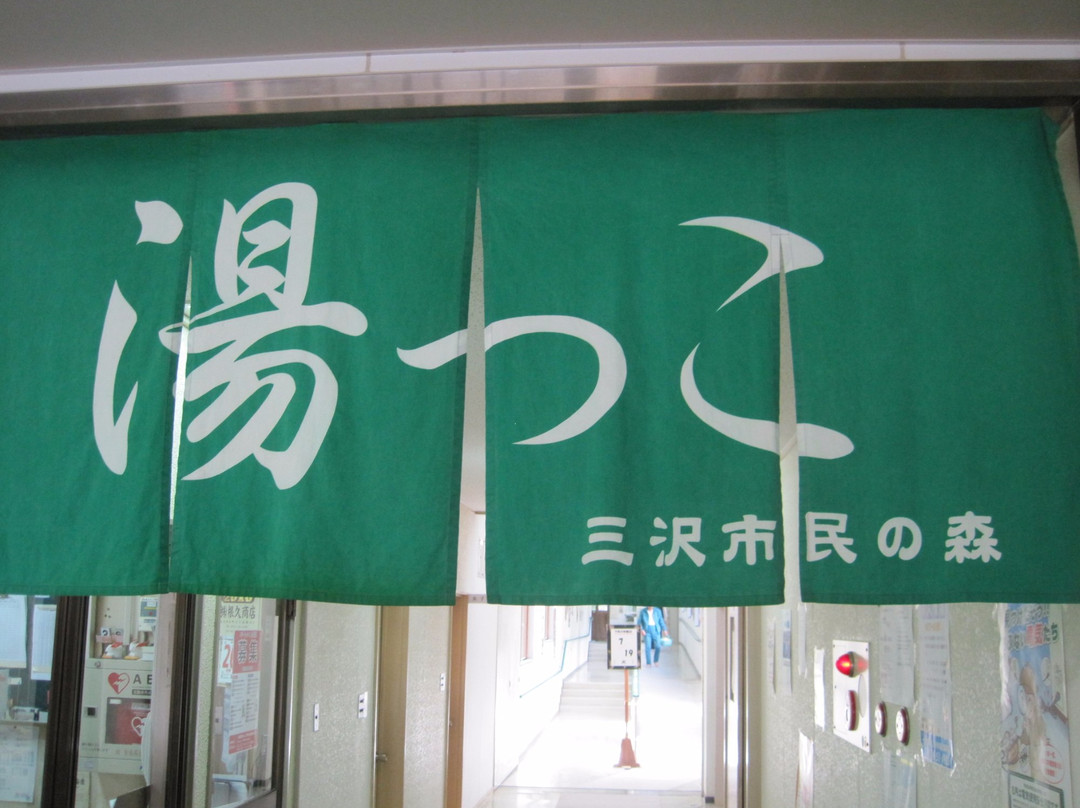 Misawa City Shiminnomori Park-三泽市必去景点