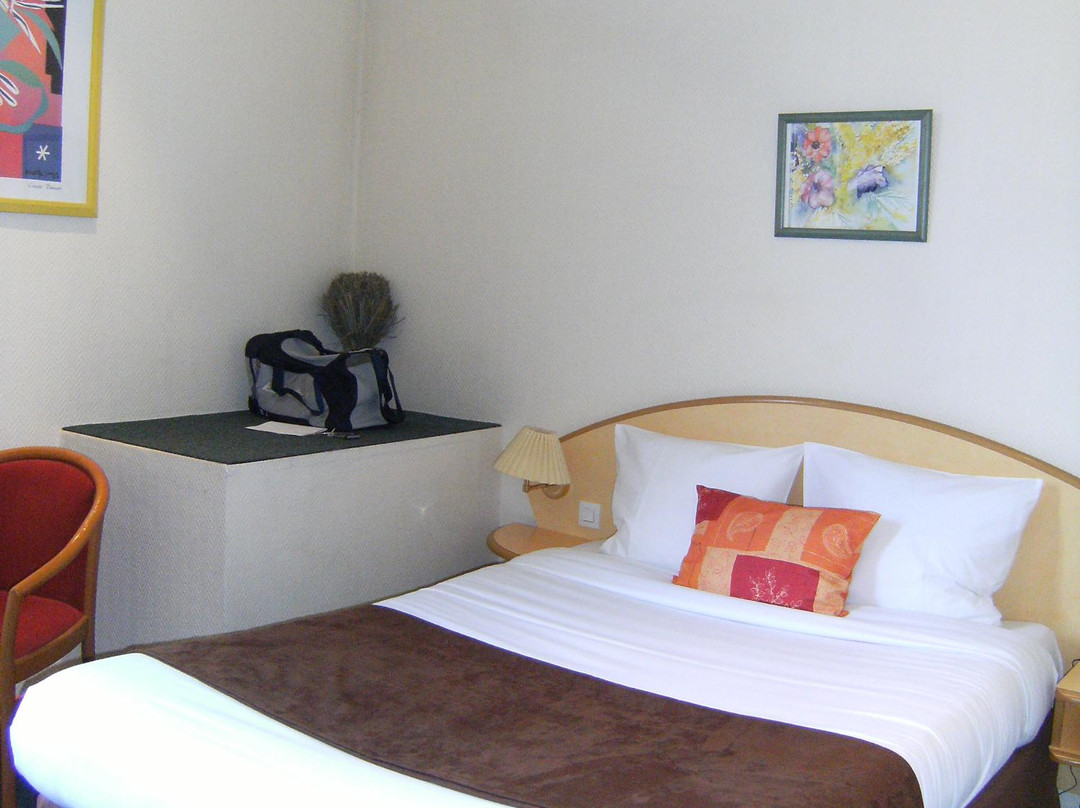 Logis Hôtel des Oliviers主图