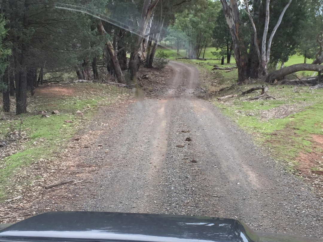 Nangar National Park-Canowindra必去景点