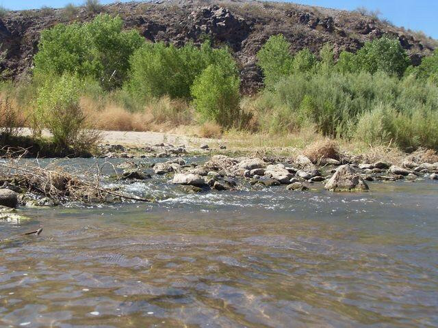 Gila Box Riparian National Conservation Area-Safford必去景点