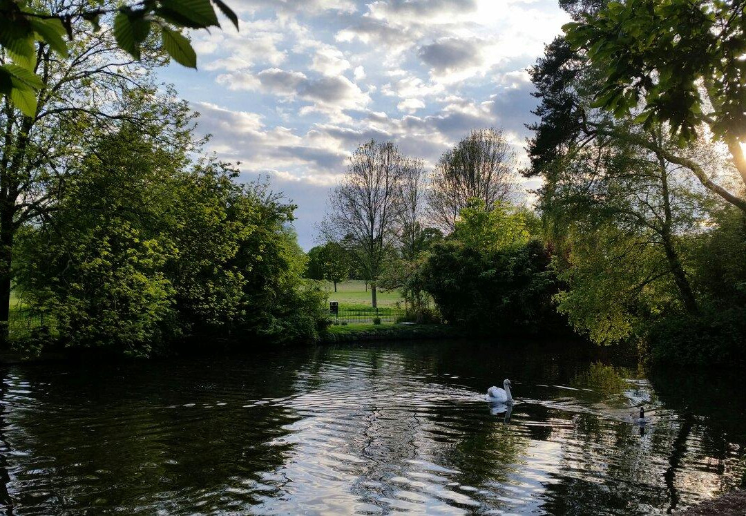 Manor Park景点图片