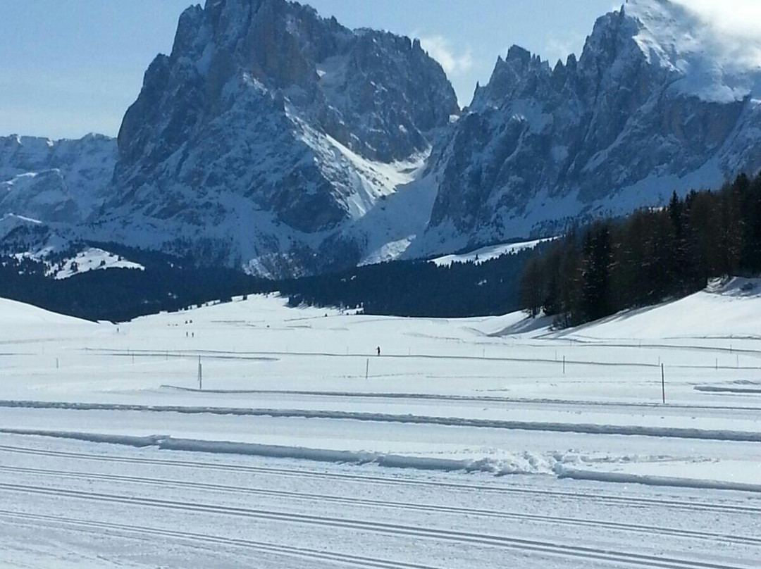 Alpe di Siusi - Seiser Alm Bahn景点图片