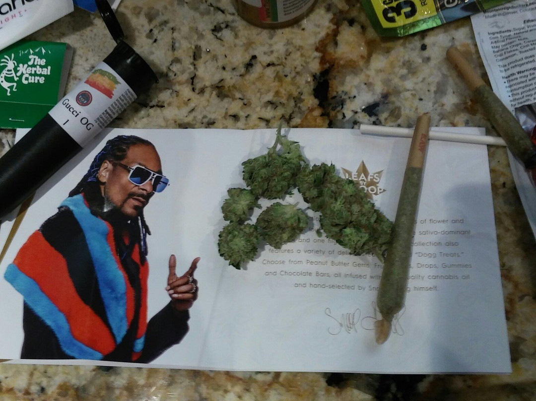 Colorado Tourbike Rentals-丹佛必去景点