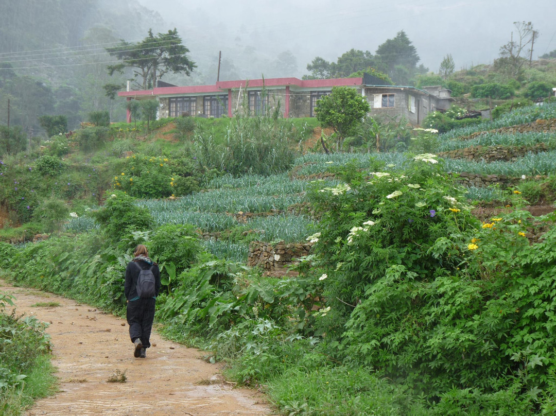 Misty Mountain Lodge