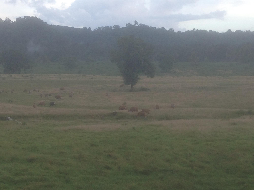 Sadengan Savannah-巴纽旺宣必去景点