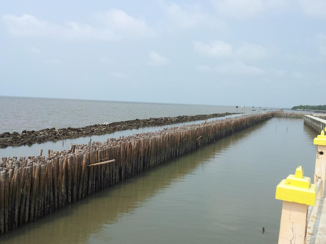 Dolphin Viewpoint-龙仔厝必去景点