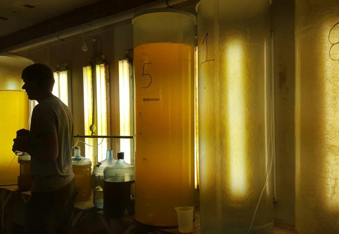 Southern Cross Sea Farms-锡达礁必去景点