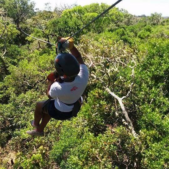 Volcan Canopy Park景点图片