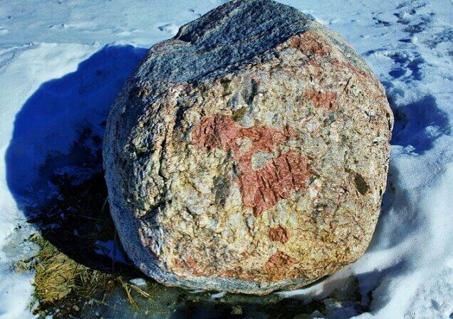 Warner Park-麦迪逊必去景点