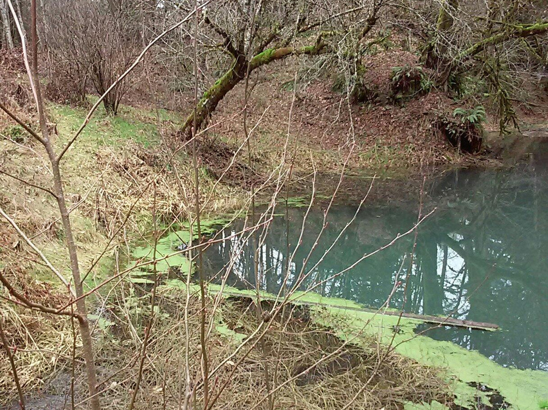 Stub Stewart State Park-Buxton必去景点