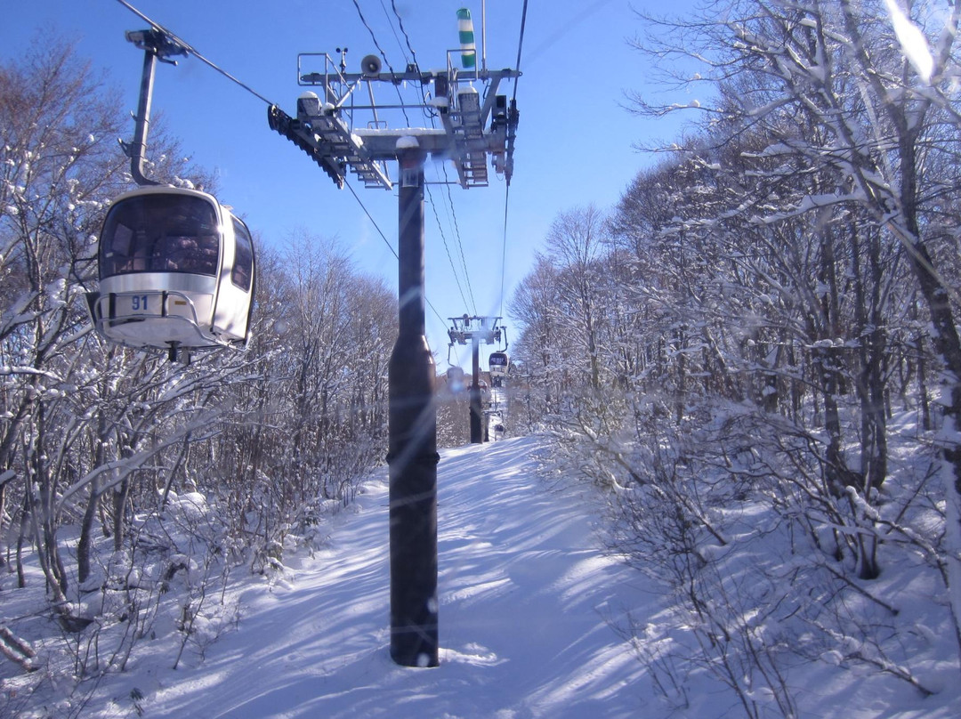 Nozawa Onsen Spa Arena-野泽温泉村必去景点