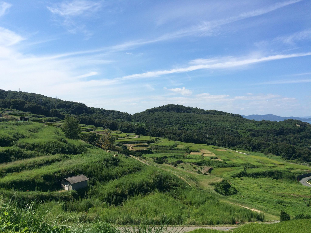 丰岛景点图片