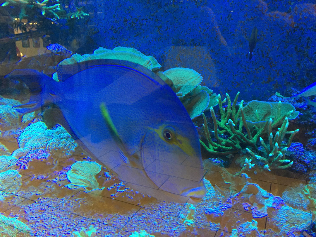 Storcenter Nord-欧胡斯必去景点