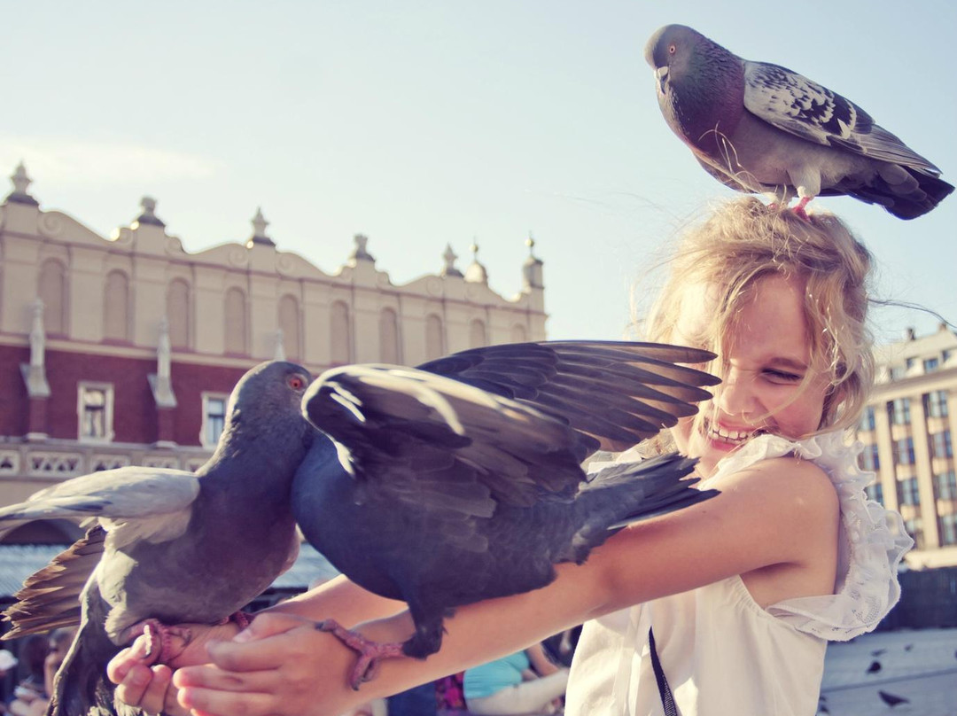 CometoKrakow. com - Tours & Transportation-克拉科夫必去景点