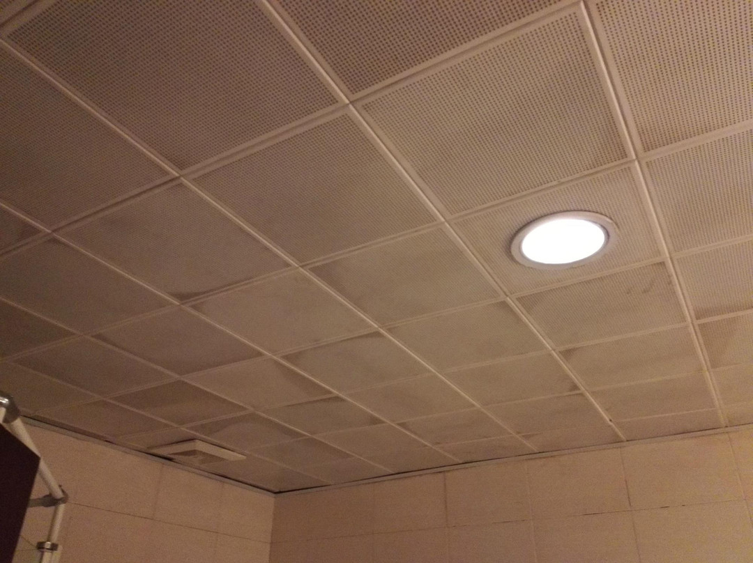 五洲花园大酒店主图