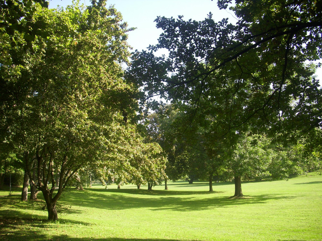 Wertwiesenpark景点图片