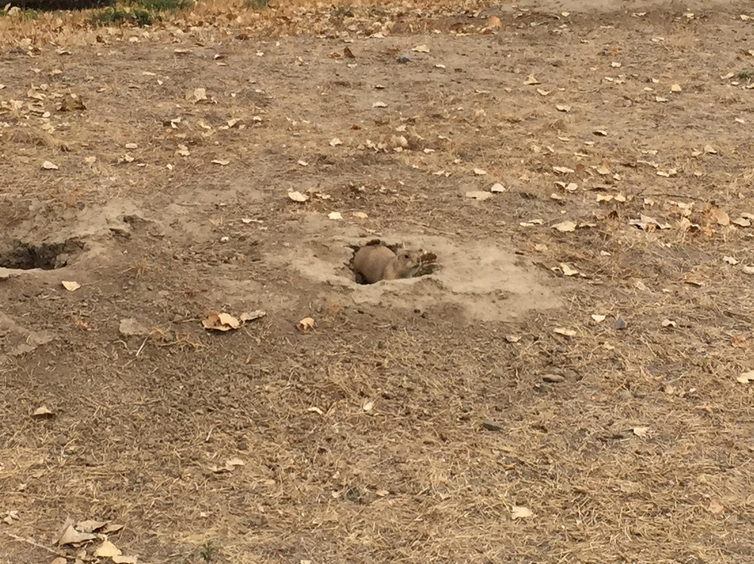 Big Dry Creek Trail-威斯敏斯特必去景点