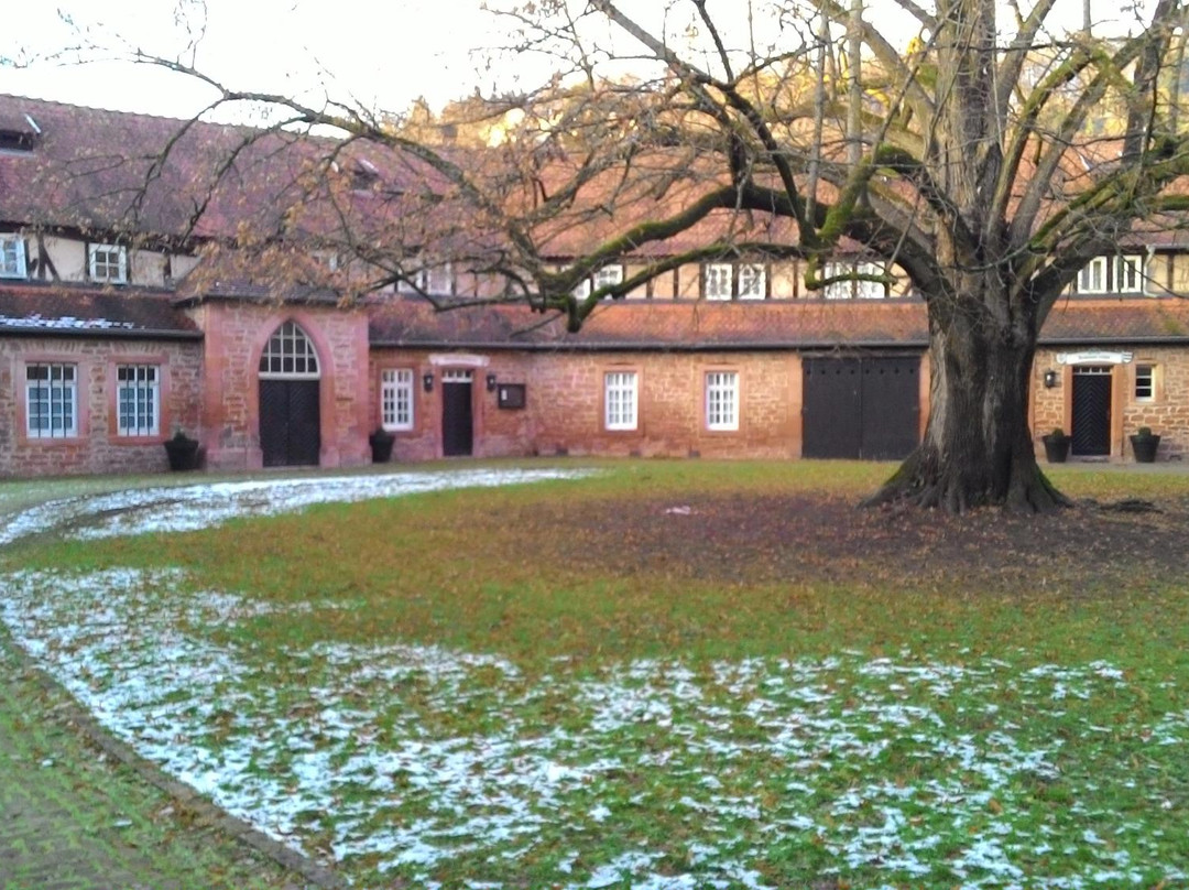 Schlossmuseum - Schloss Büdingen景点图片