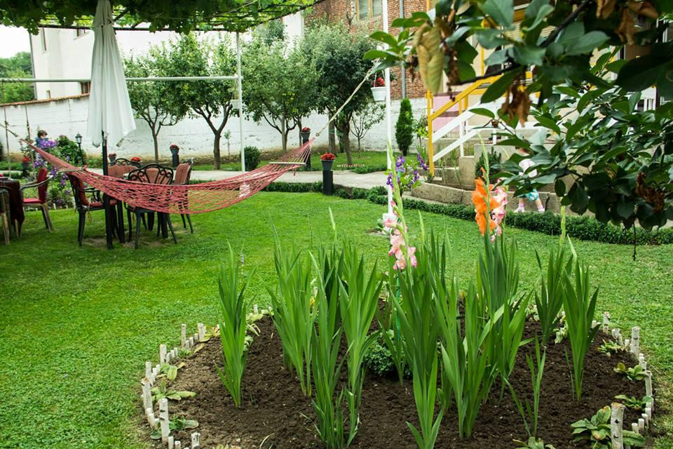 Hostel Sarac