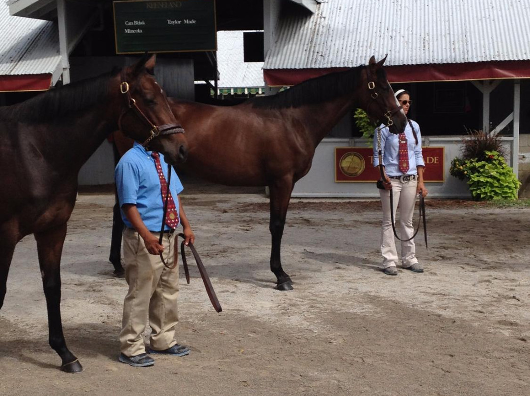 UnBridled Horse Tours-Midway必去景点