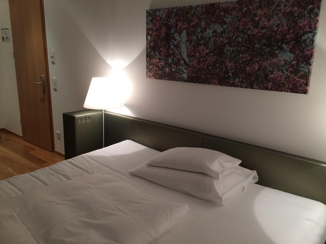 Hard酒店住宿-Hotel Am See