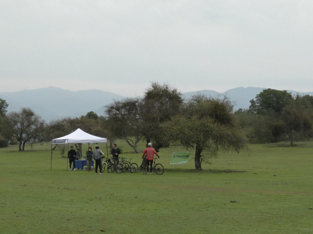 WinkulTrips-Pichidegua必去景点