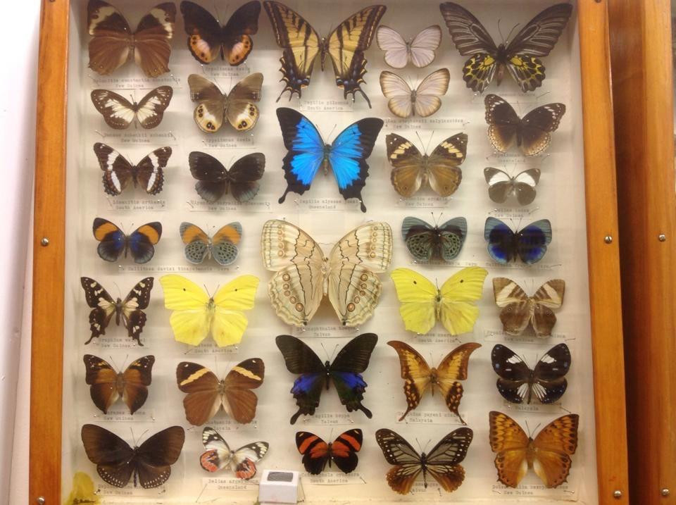 Boyup Brook Visitor Centre-Boyup Brook必去景点