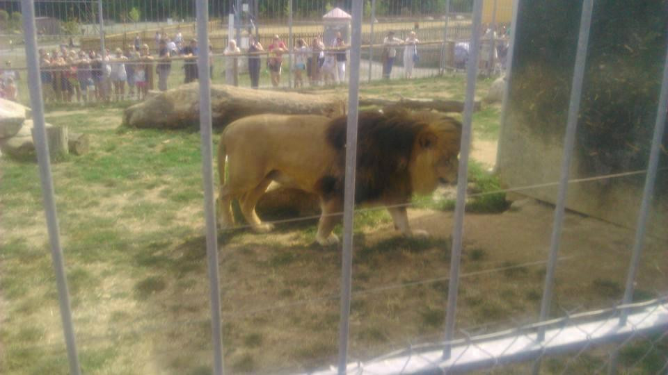 ZOO Tabor-塔博尔必去景点