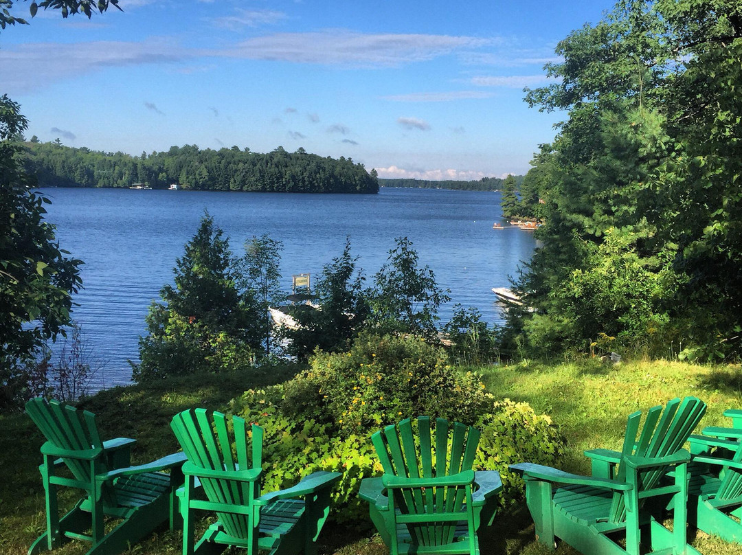 Lakeview Escape