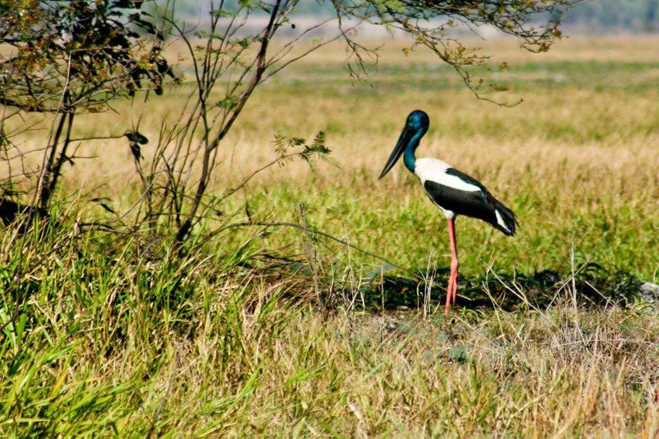 Corroboree Houseboats-Marrakai必去景点